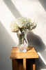 Hein Studio Ostrea Rock Vase in display setting - Mette Collections Australia (4429630210147)